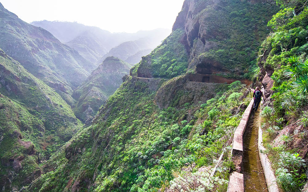 Anaga Country Park Tenerife 2026 Everything You Should Know Go 