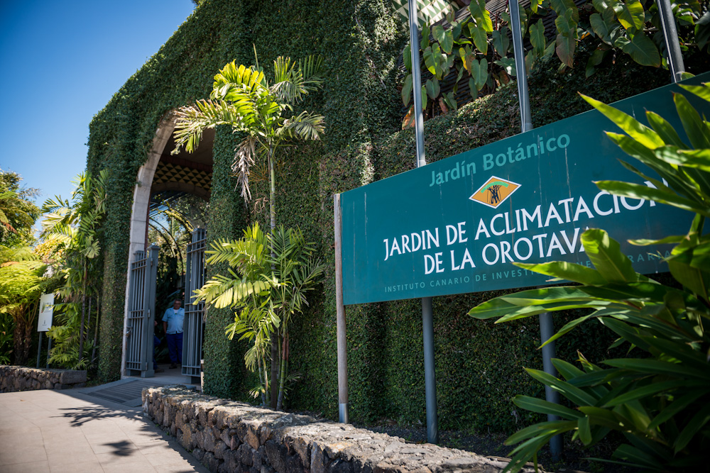 Caso Margaret Mitchell Pesimista Jardín Botánico 2023 - Horario, precio y ubicación | Tenerife